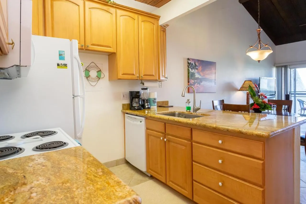 Hale Kamaole 254 Villa Wailea  Holiday home Wailea (Maui)