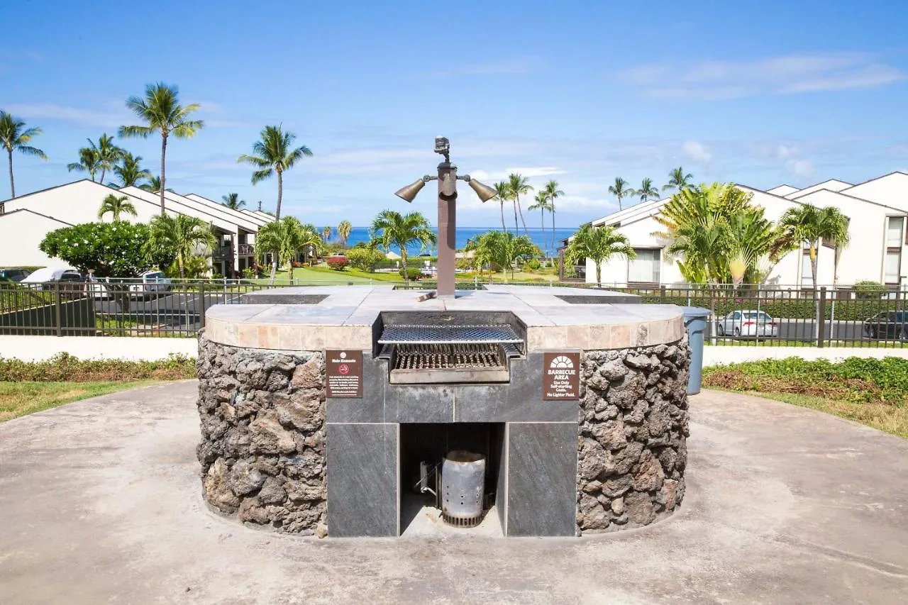 Holiday home Hale Kamaole 254 Villa Wailea