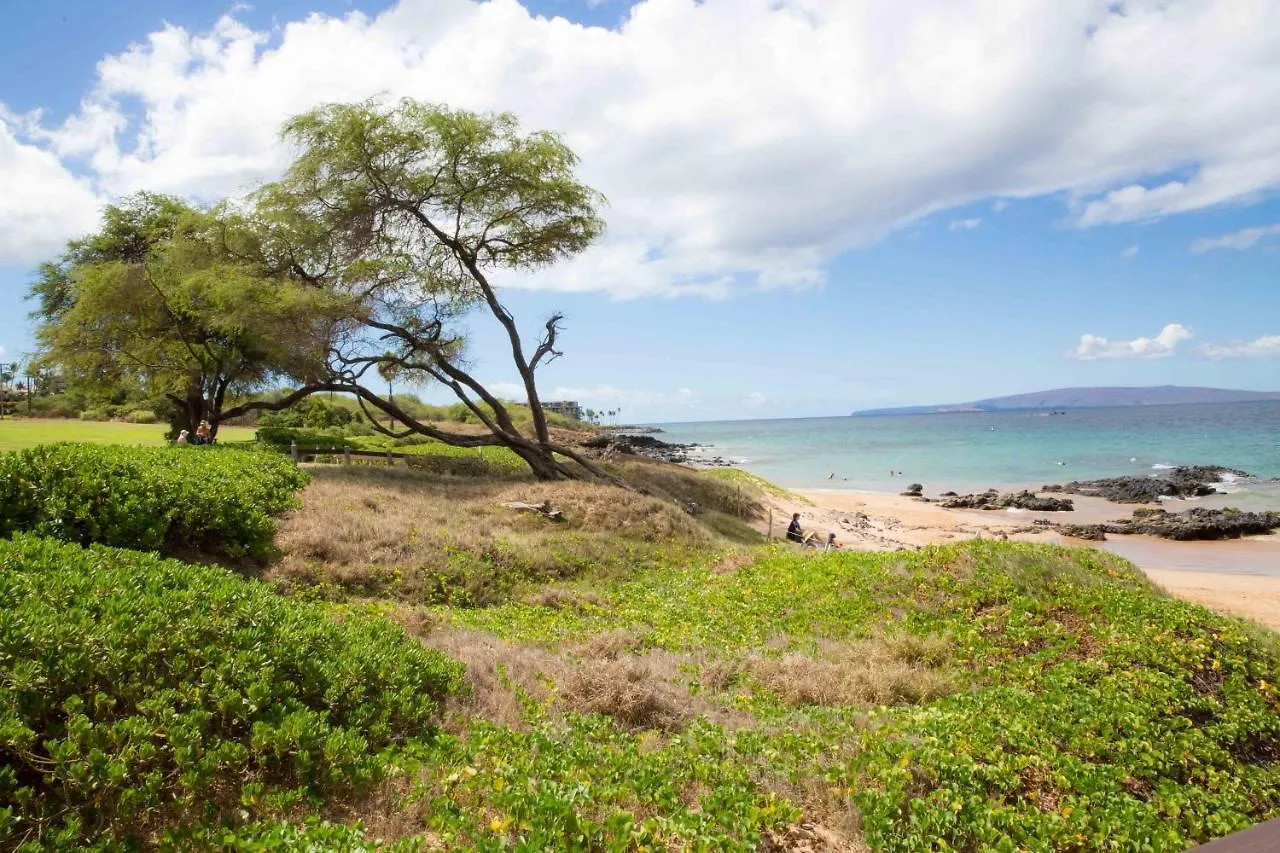 Hale Kamaole 254 Villa Wailea  United States